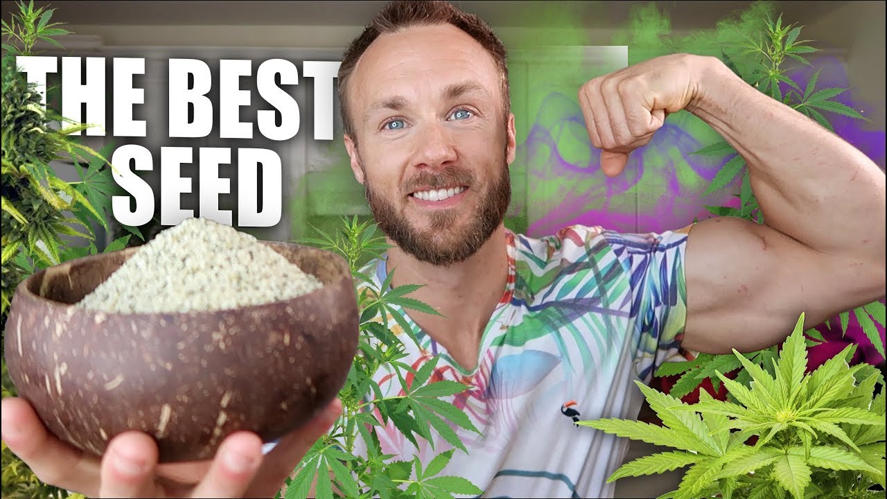 HEMP SEEDS ARE AMAZING & WHY YOU SHOULD EAT THEM!