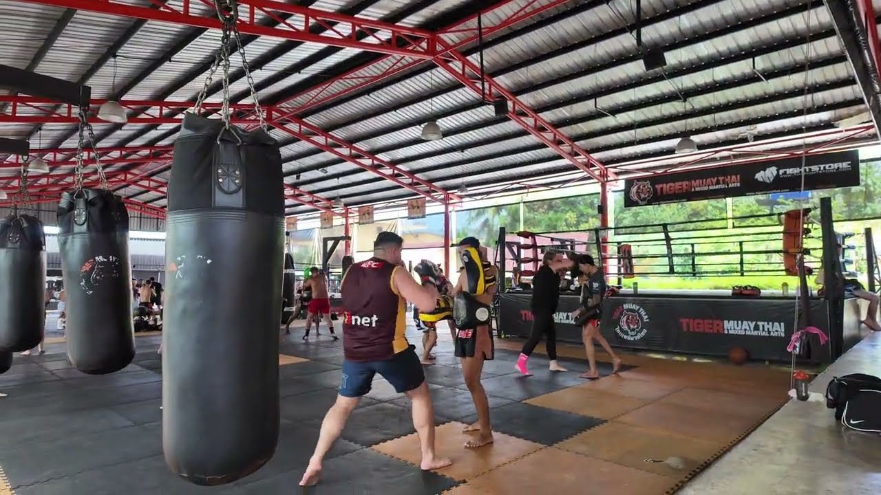 Tiger Muay Thai & Apollo Camp walkthrough | Fitness Street, Chalong