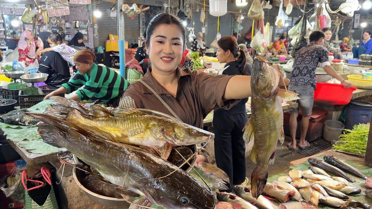 MArket show: Buy Yellow catfish and cooking | Yummy catfish recipe