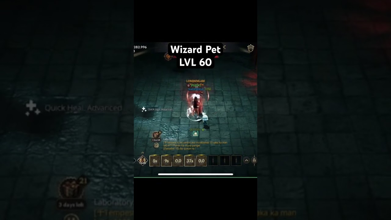 Wizard Pet Lvl 60- Barehand Lvl 51 - LORDNINE #lordnine #lordninesea #lordninegame #gameplay #gaming