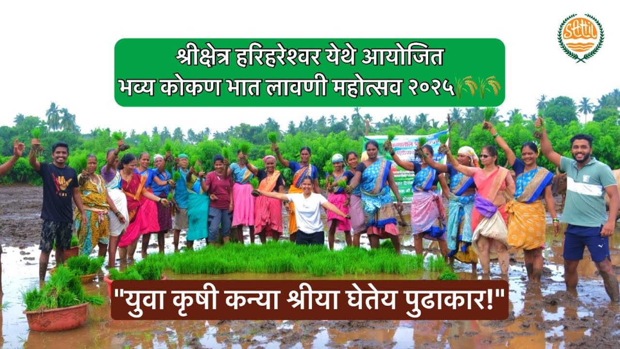 कोकणातली भात लावणी पाहिली का? | युवा कृषी कन्येचे श्रीक्षेत्र हरिहरेश्वर येथे अनोखे आयोजन 🌾