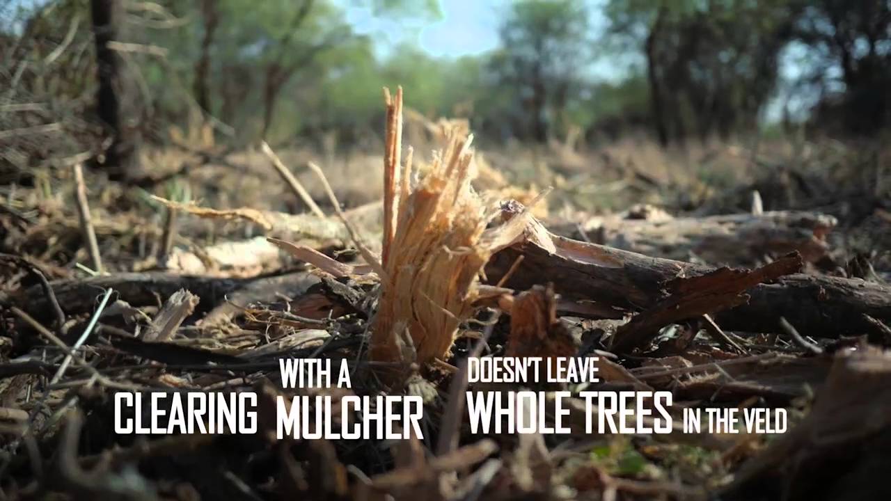 Wuhlf Equipment - Clearing Sickle bush