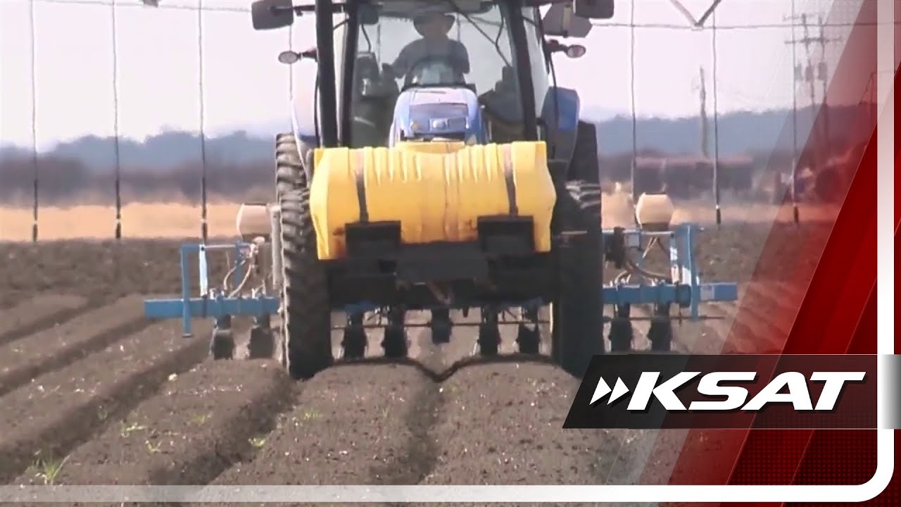 Years-long drought could be the final straw for South Texas farmers