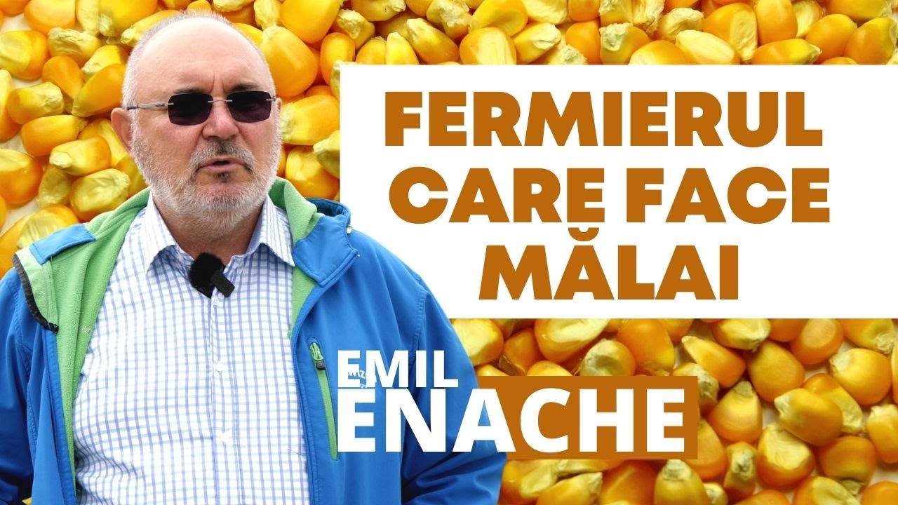 Cum este gândită ferma lui Emil Enache din județul Vaslui