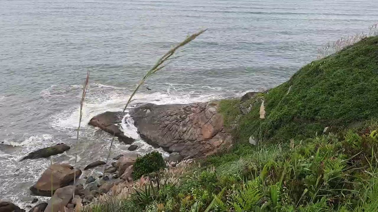 Pedra gigante na praia itanhaém a natureza 