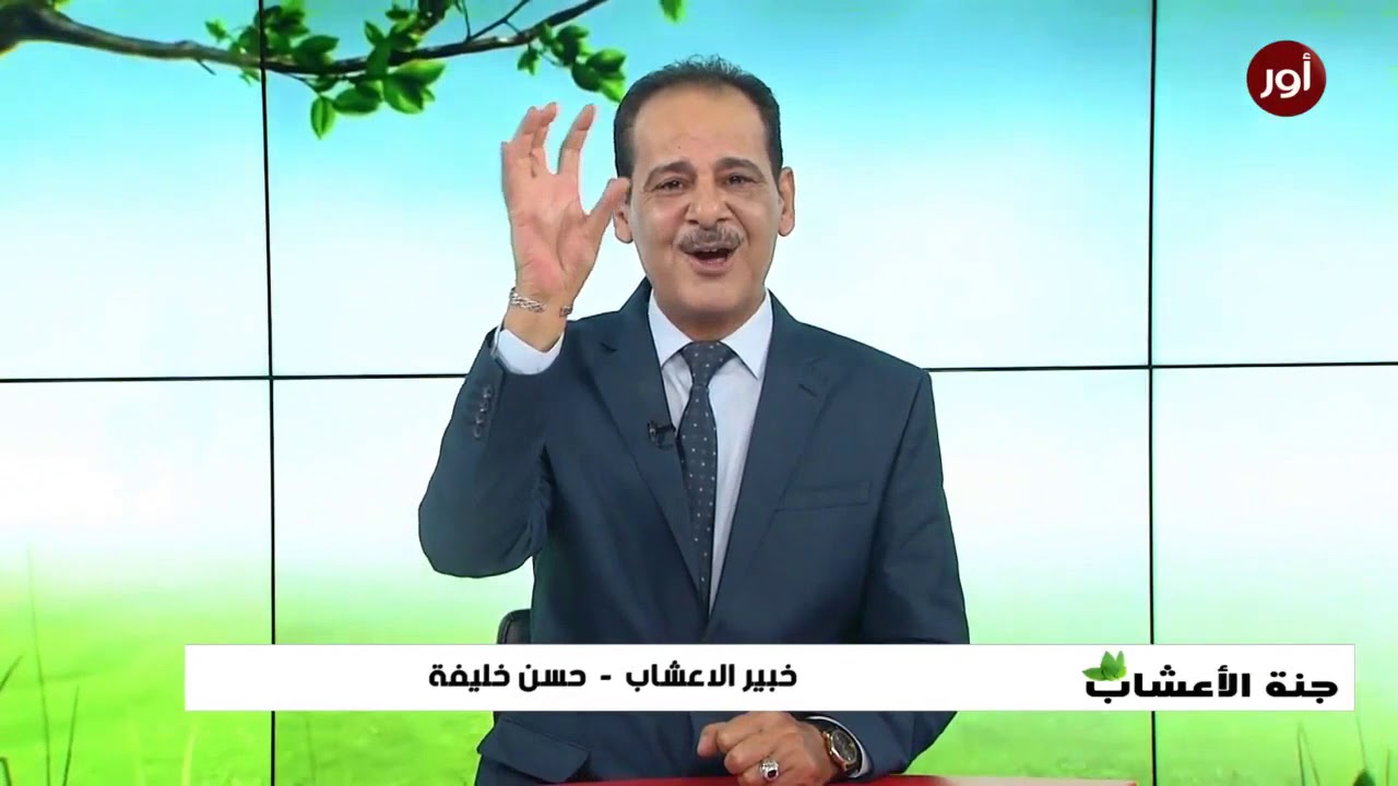 أهم فوائد  ومضار لبذور دوار الشمس  !!! مع خبير الاعشاب حسن خليفة - جنة الاعشاب