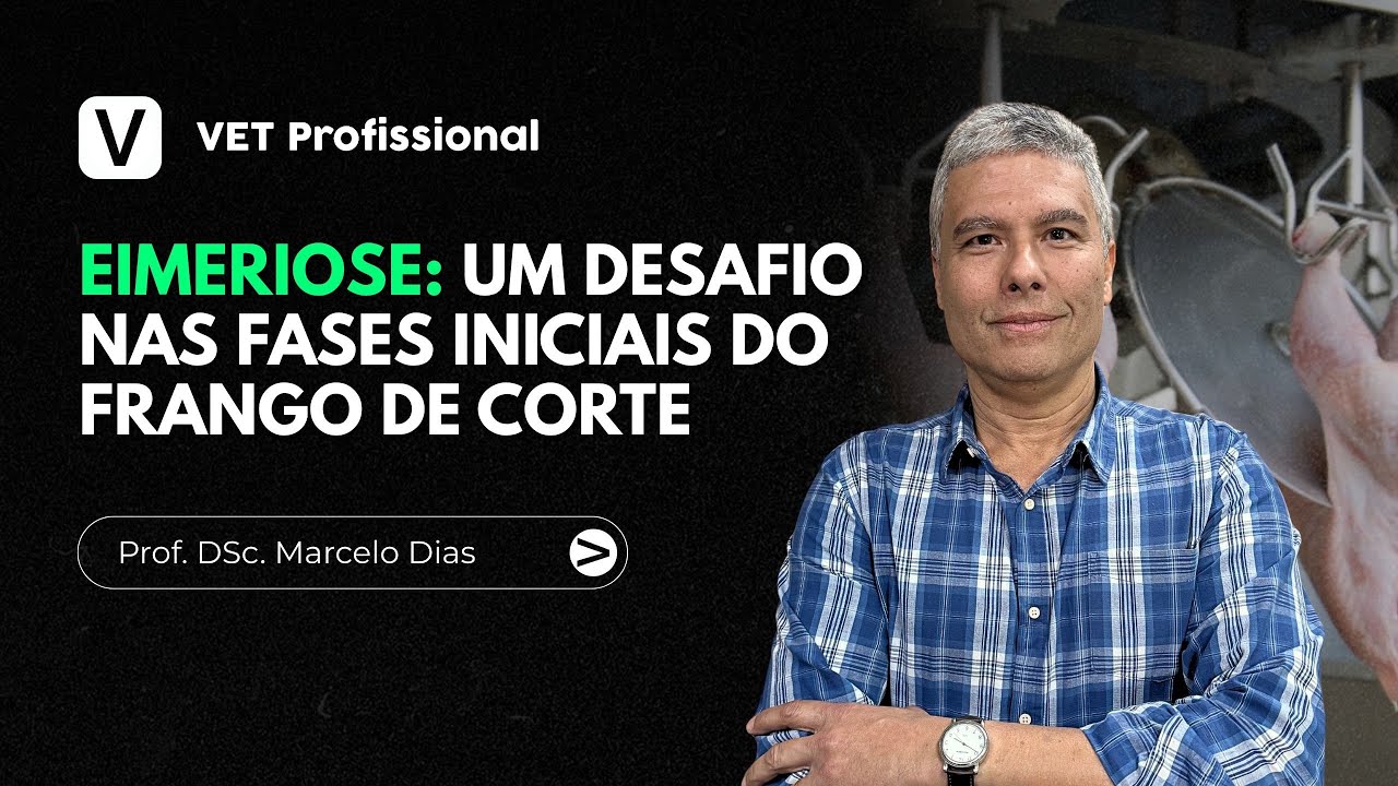 Eimeriose: um desafio nas fases iniciais do frango de corte | VET Profissional