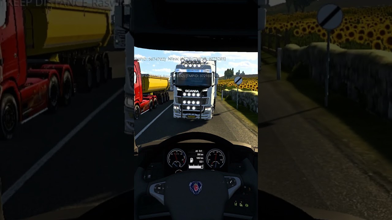 Wrong Lane = Disaster 💀 | ETS2 MP