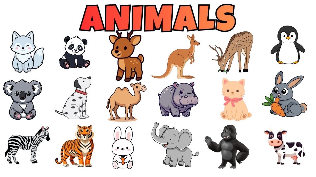 20 Animals Names for Kids | Animals Names for baby