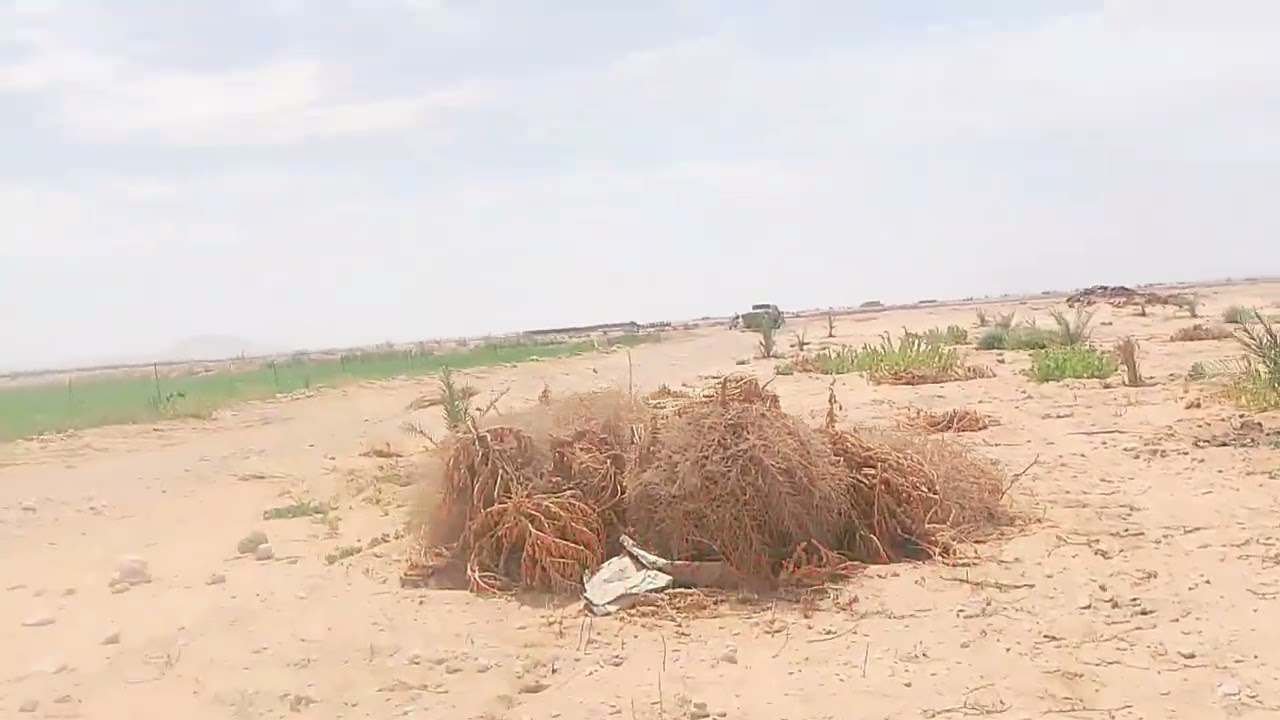 أرض زراعيه للبيع في الوادي الجديد الخارجه 5 فدان ب٦٠٠الف