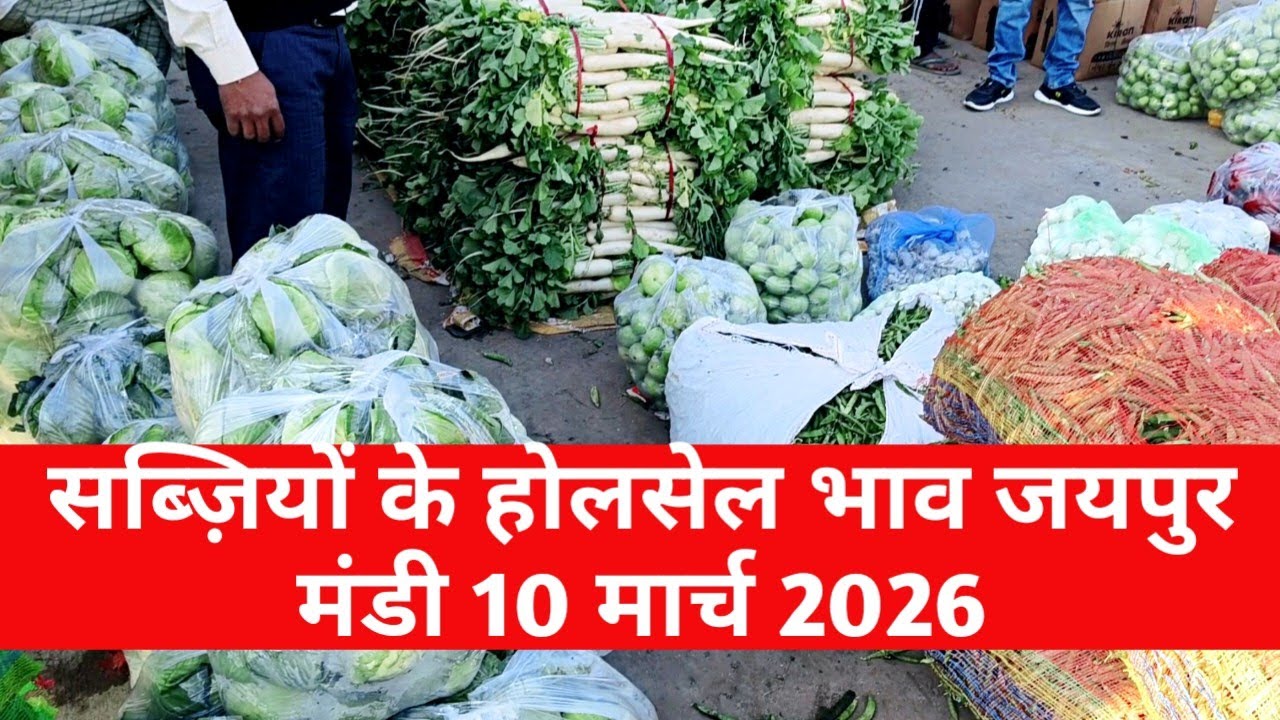 10 मार्च 2026 सब्जियों के होलसेल भाव जयपुर मंडी | आज सब्जियों का भाव | Jaipur Vegetable Market