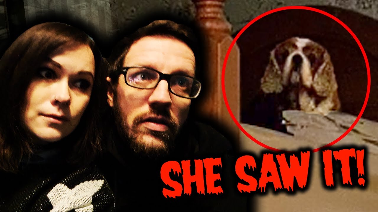 REAL PARANORMAL ACTIVITY IN HAUNTED BEDROOM | FAMILY DOG SEES THE GHOST
