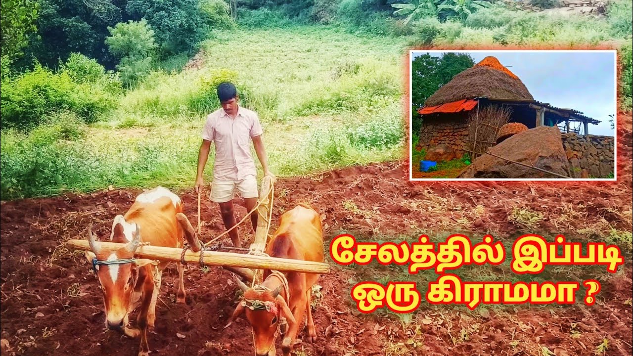 சேலத்தில் இப்படி ஒரு இடமா || மலை உச்சியில் ஒரு கிராமம் | ஜருகுமலை || Jarugumalai || Salem | #shorts