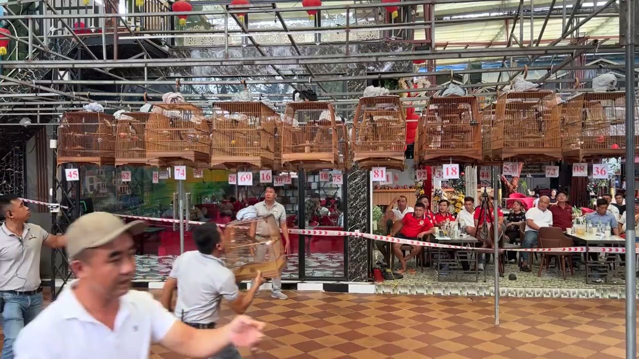 Trực tiếp Giải CÀ MAU! 102 LỒNG!