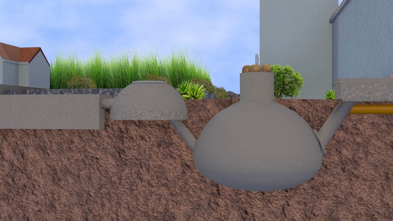 digesteur à dôme et filtre végétalisé