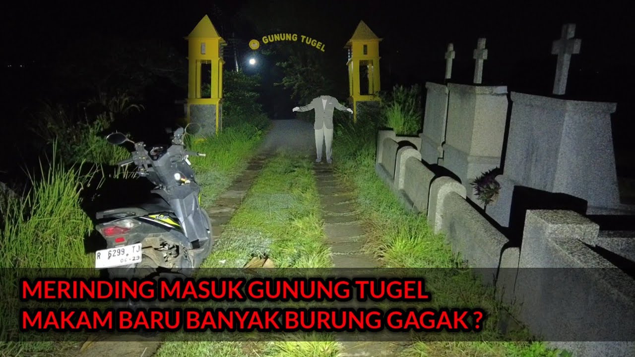 UJI NYALI DI BONG CINA GUNUNG TUGEL - SAMPAI DI KEJAR KEJAR ANJING PENJAGA 🙈
