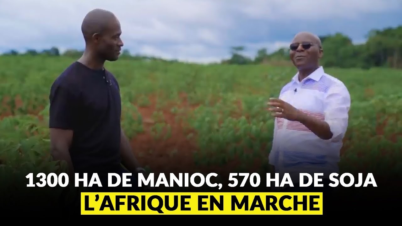 Il sème 578 Ha de Soja, 1300 Ha de Manioc à la main en Afrique