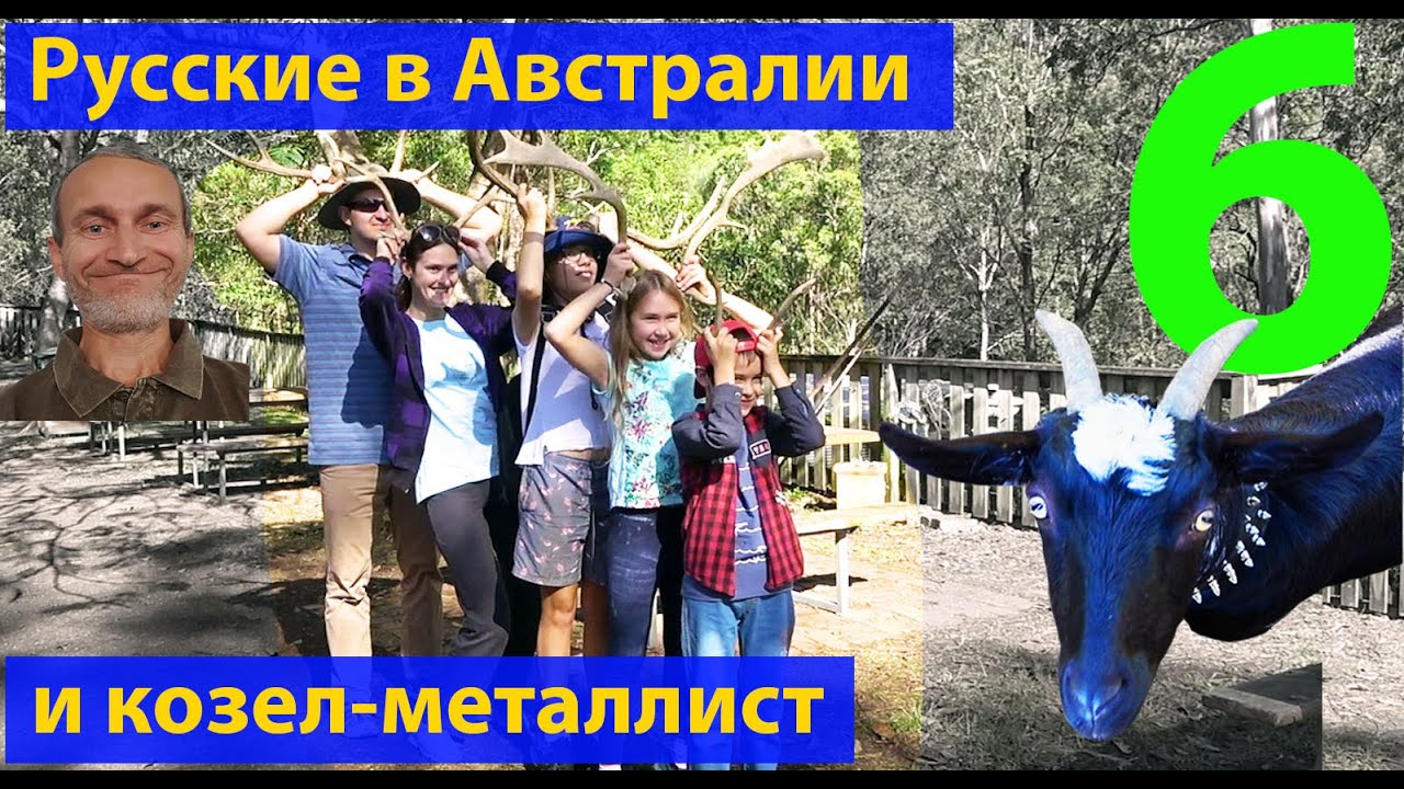 Лес. Пикник возле озера. Оленья ферма. Русские в Австралии 6. (видео 213)
