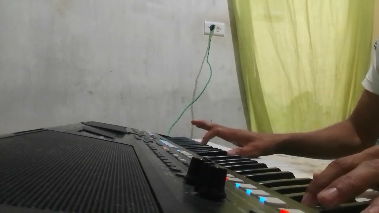 Forrozinho bom de mais 🎹🎶