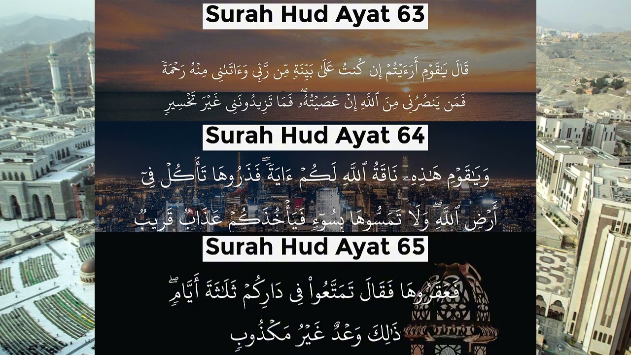 Surah-Hud-Ayat- 63 64 65  : 12 #bayan #pashtobayan #islamicscripture #voiceeffects #pashtobayan