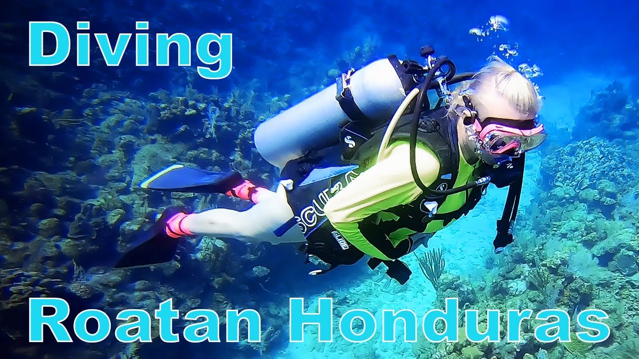 Diving in Roatan Honduras (Caribbean)