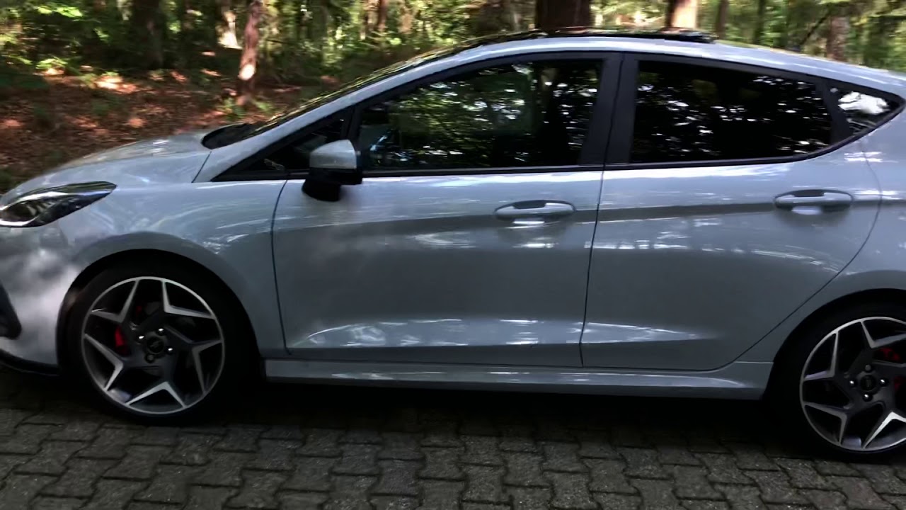 Fiesta ST MK8 Silver fox