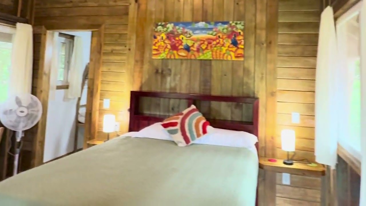 🌿 Jungle Cabins at Toucan Hill Lodges &ndash; Bluff Beach, Bocas del Toro 🏝️