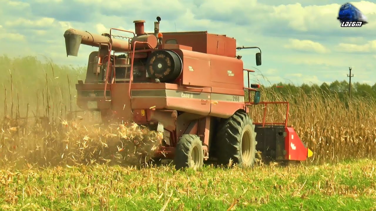 🌽Corn Harvest CASE IH 2166 Axial-Flow la Recoltat Porumb in România🌽 - 06 May 2021