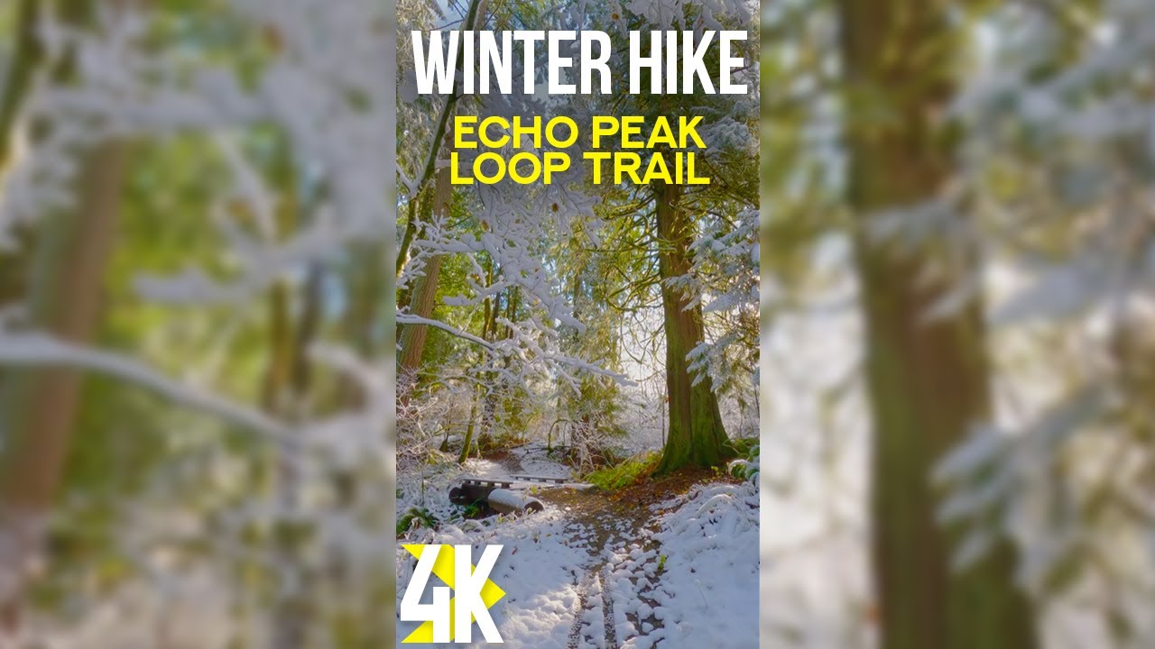 Amazing Winter Hike on a Sunny Day - 4K Vertical Nature Scenery of Echo Peak Loop Trail