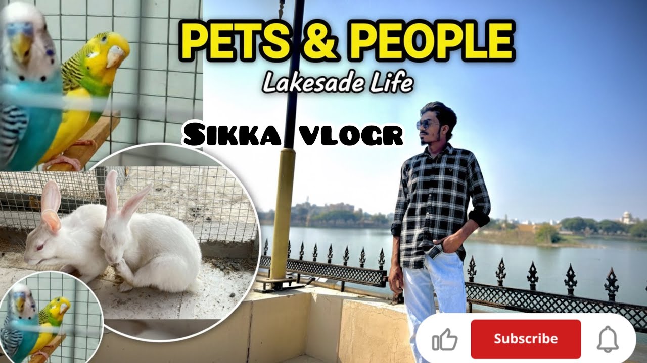 New vlog Sikka 