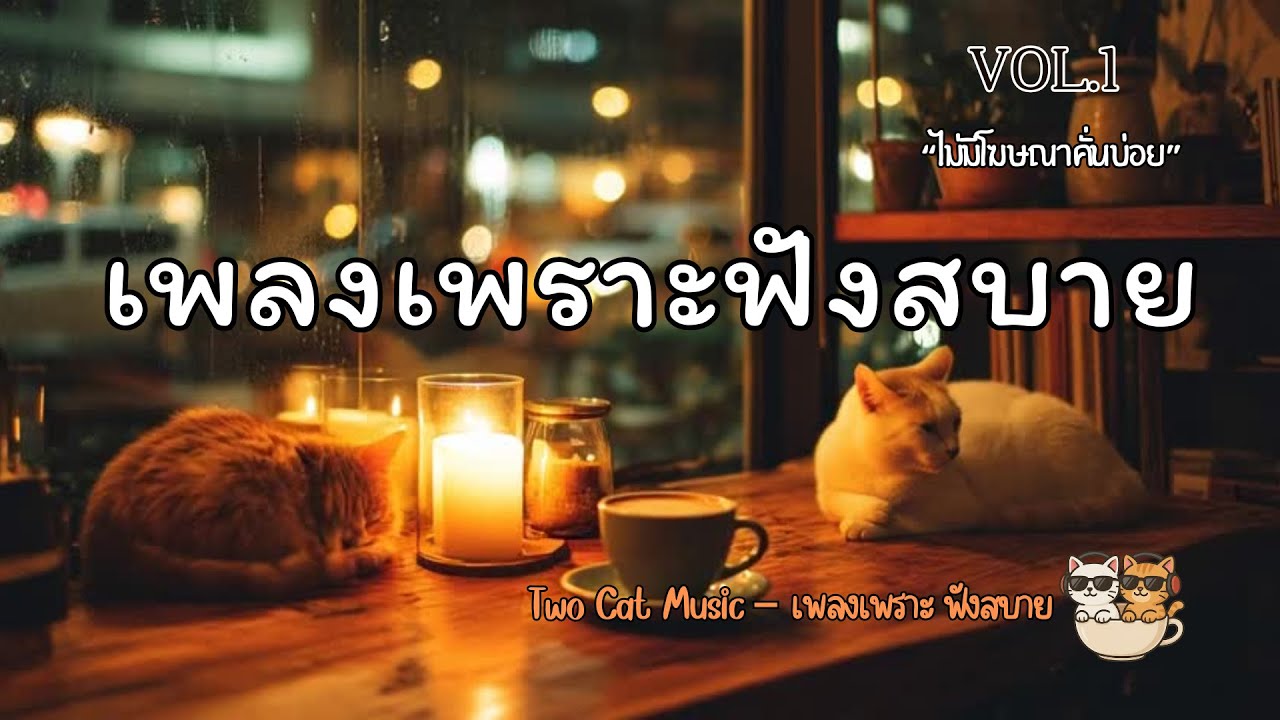 รวมเพลงเพราะฟังสบาย | ฟังเพลินต่อเนื่อง 1 ชั่วโมง ไม่มีโฆษณาคั่นบ่อย Vol.1