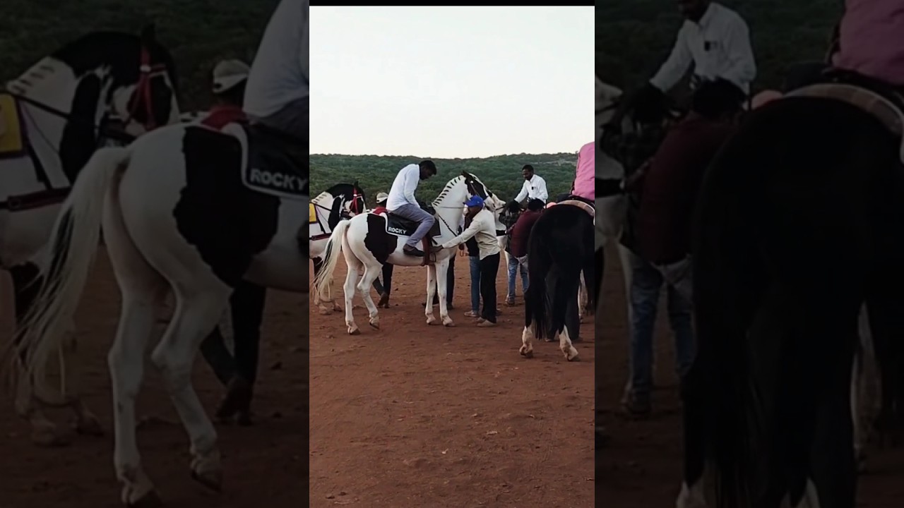 Horse riding in Mahabaleshwar #shorts #horseriding #shorts