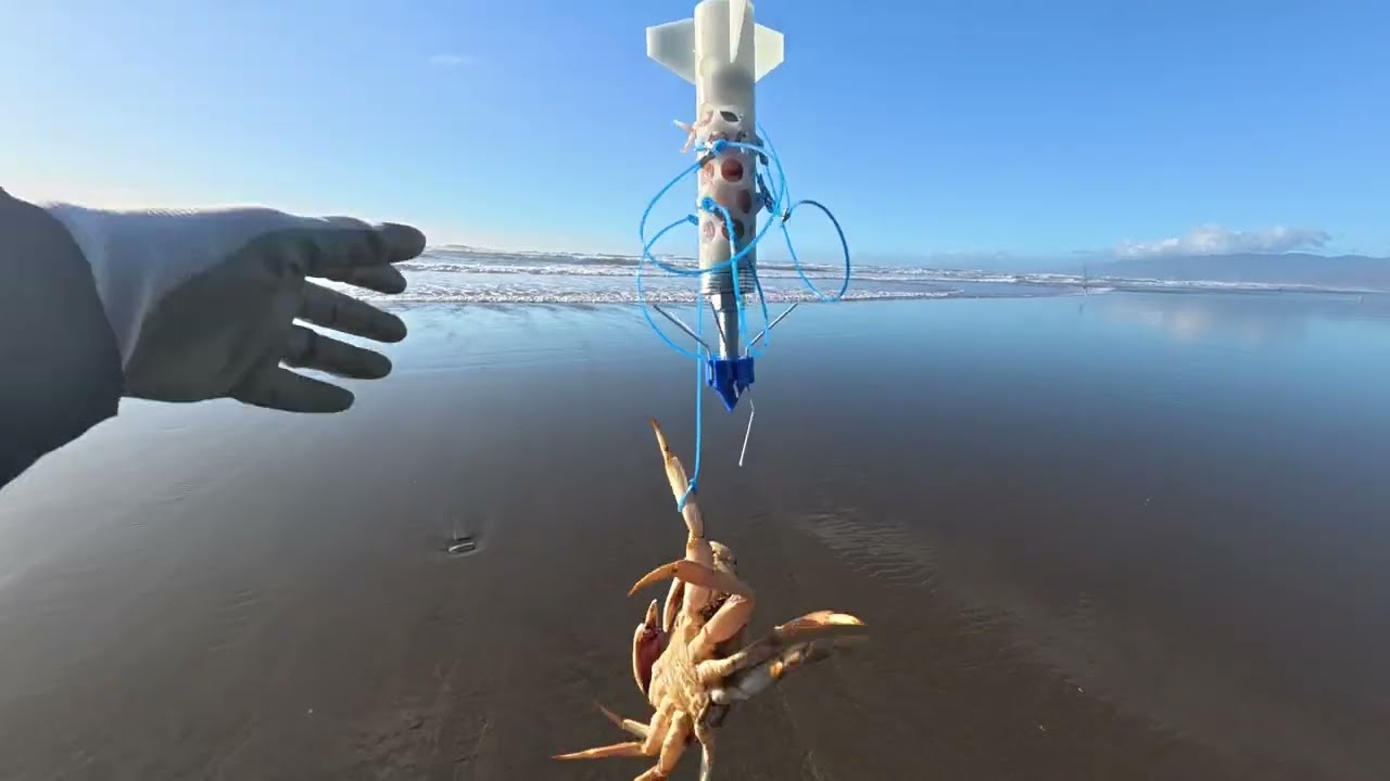 Dungeness Crabbing at Ocean Beach | 2025-11-18