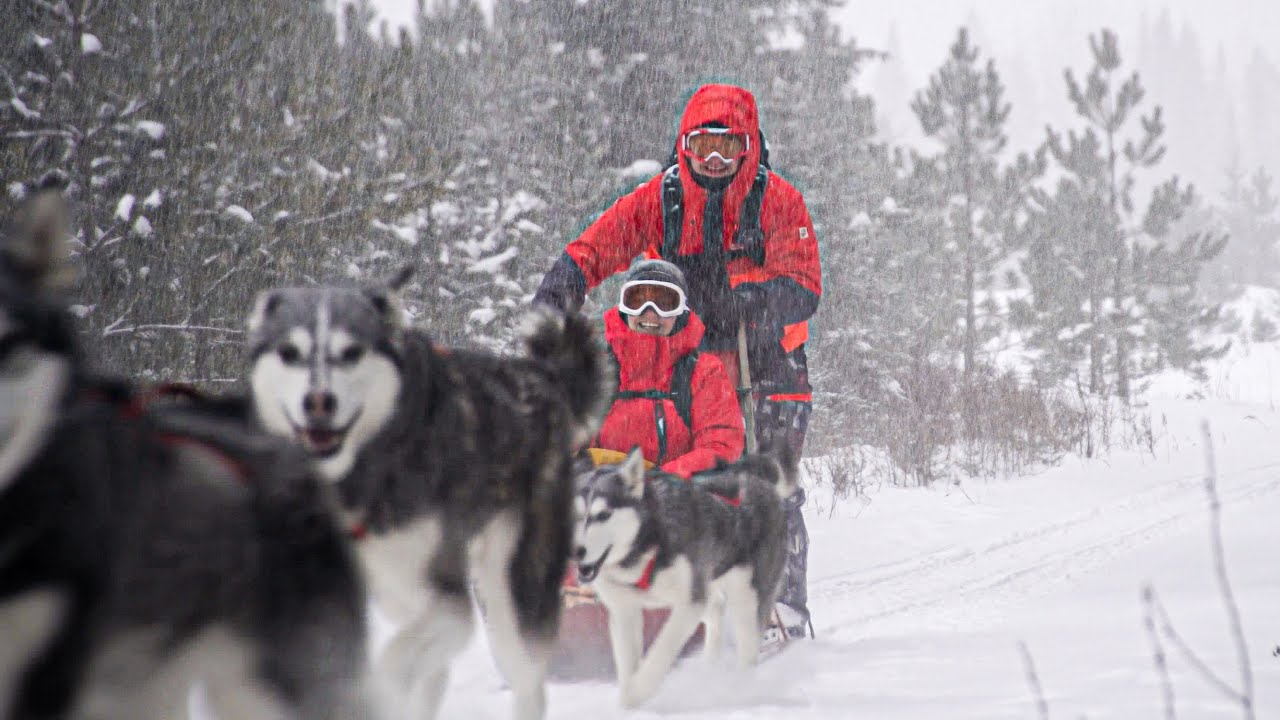 Aventure en traineau à chien en Outaouais!
