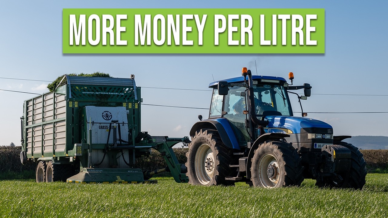 THE CHEAPEST WAY TO FEED COWS!!!