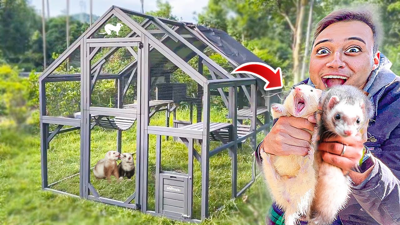 A NOVA MANSÃO dos NOSSOS FURÕES no LAGO