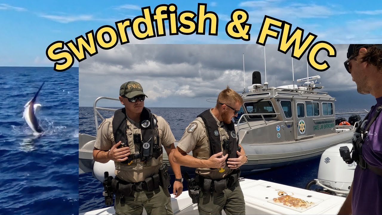 FWC Shakedown & Epic Swordfish Action!