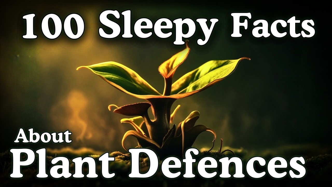 The Most Relaxing Facts About Plant Defences to Fall Asleep To — No Adverts