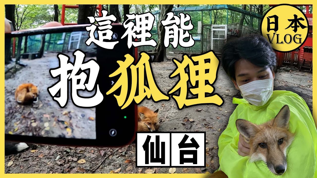 在日本抱狐狸是種什麼體驗？杜王町原型—仙台長什麼樣子呢 | 日本東北一泊遊