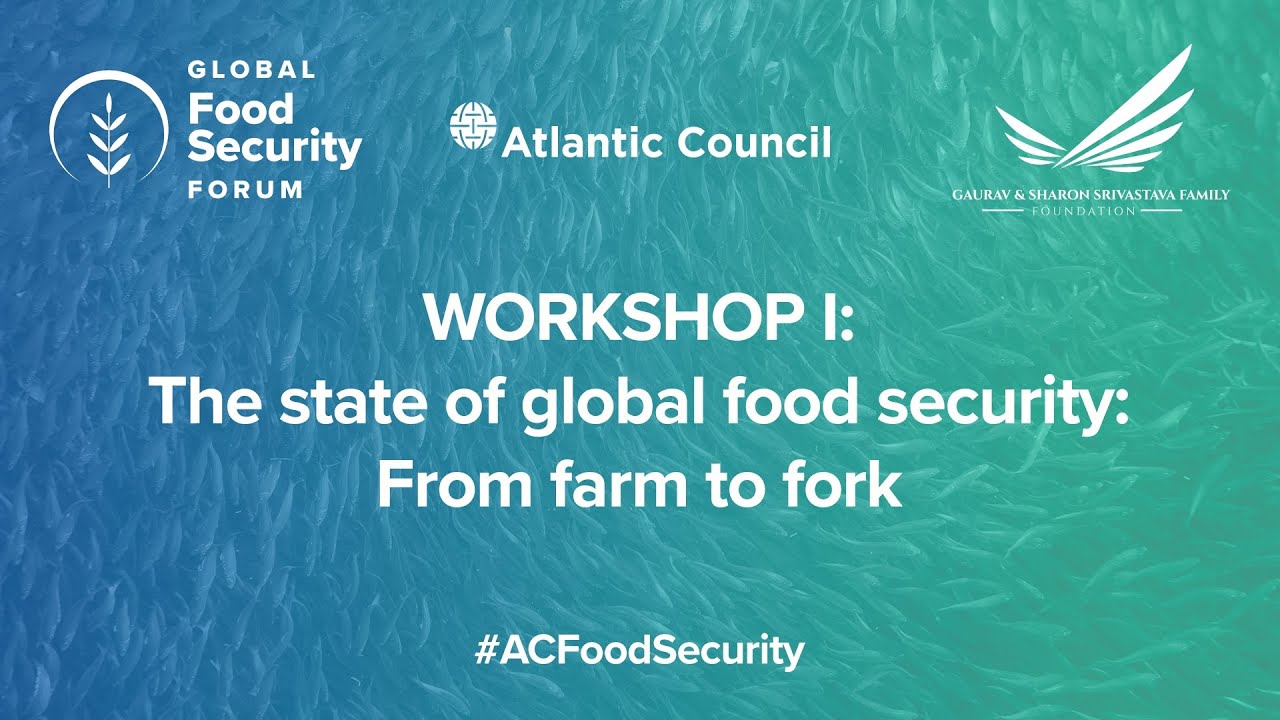 Workshop I: The state of global food security: From farm to fork