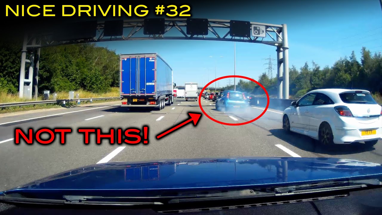Nice Driving #32 | Reactions of a Cat