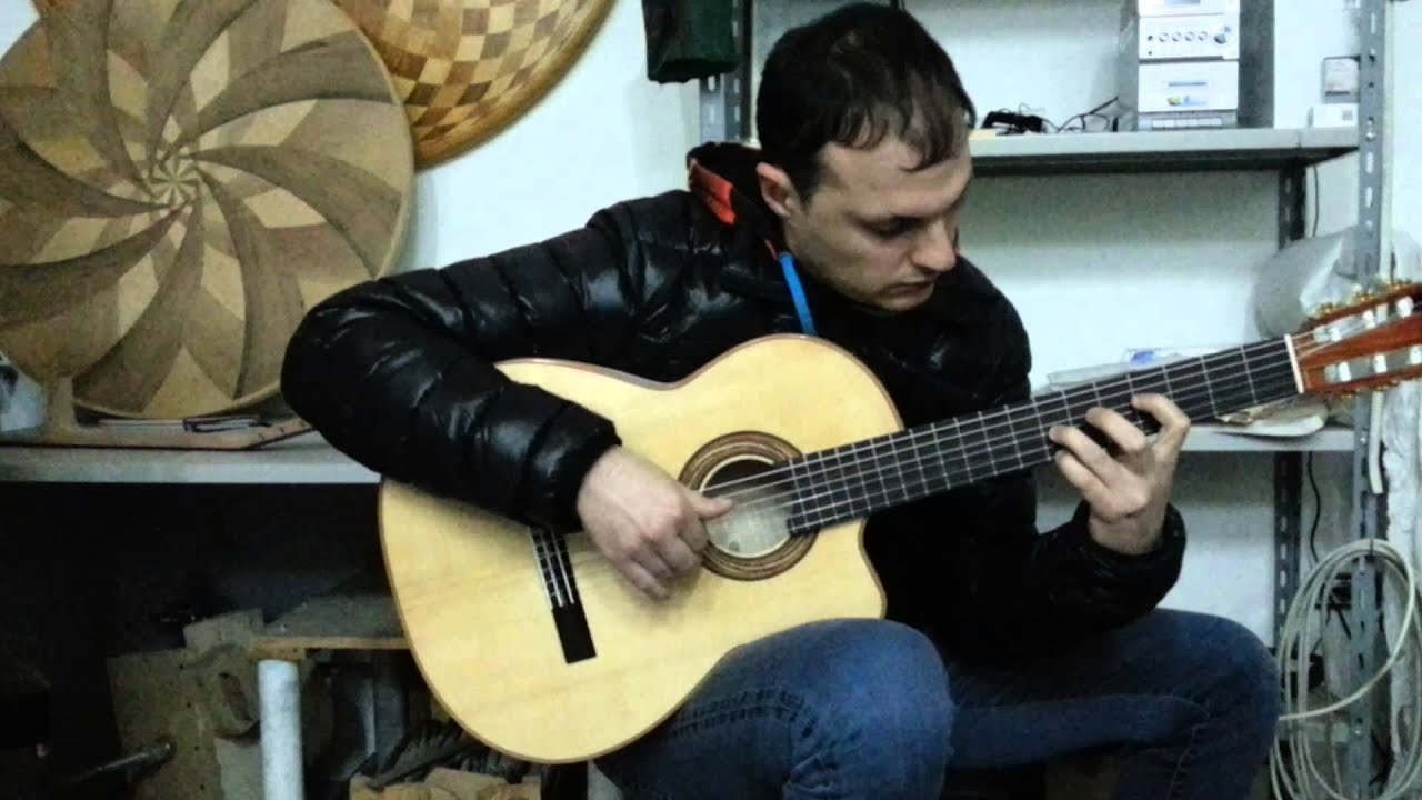 My New Guitar, 