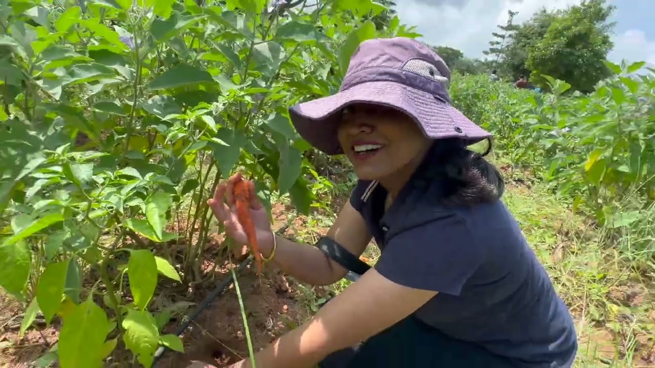Awesome Day at Kanha Shanti Vanam: Farming & Rainforest Adventure!