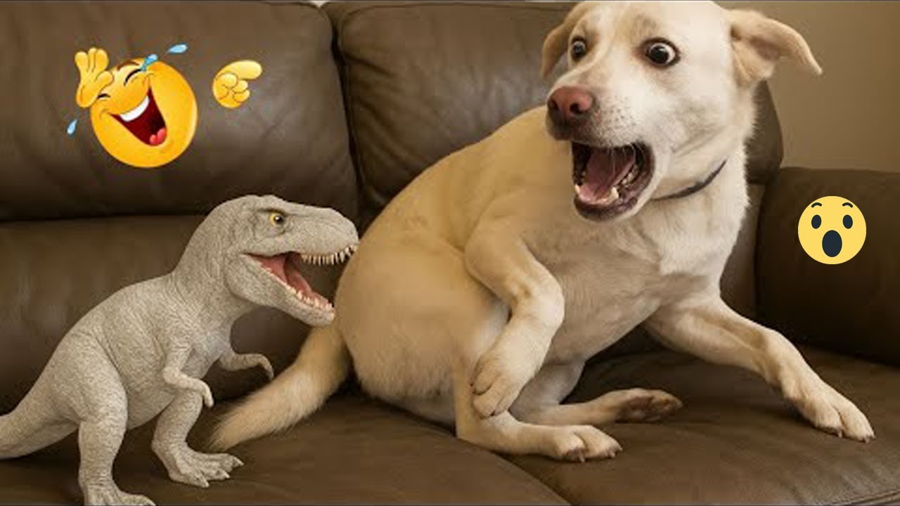Try Not to Smile Hilarious Dogs Ever 🤣🐕 Best Dog Videos 2025 #29