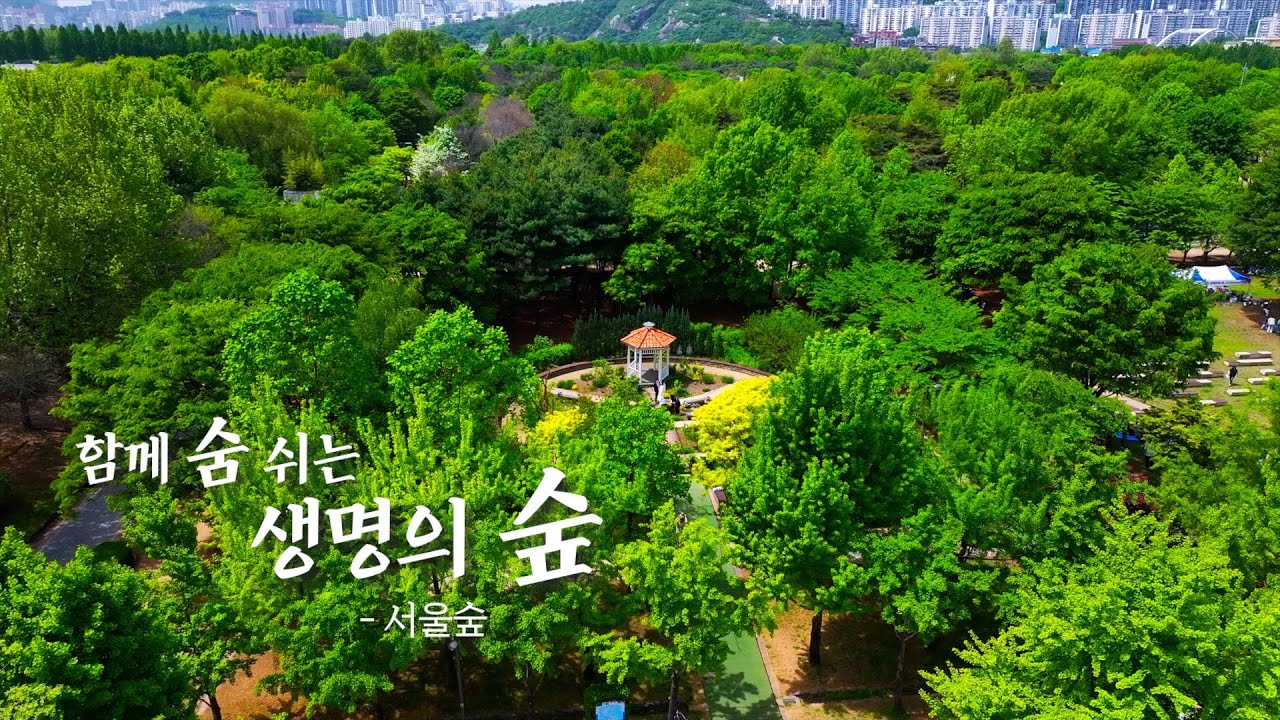 느림;보 EP01. 서울, 숲을 입다. •서울숲 •Seoul Forest🌲