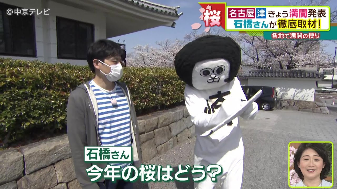 石橋さんが徹底取材！ 約800本のソメイヨシノが咲く岡崎公園