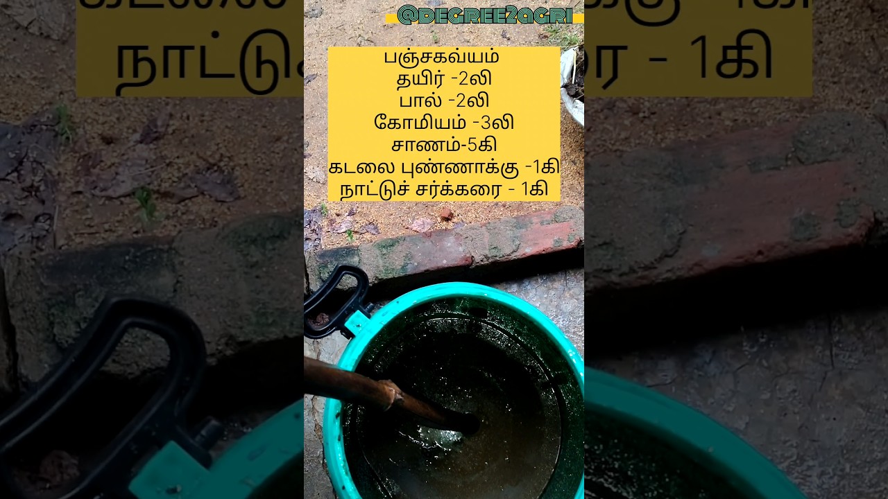 Panchakavya preparation #agrifuture #organicfarming