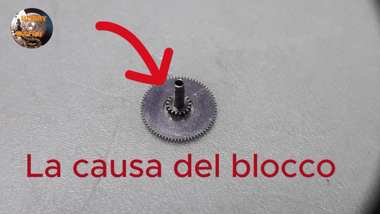 Service Festina Crono Quartz Miyota OS60