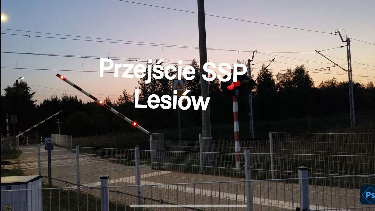 Przejście SSP Lesi&oacute;w
