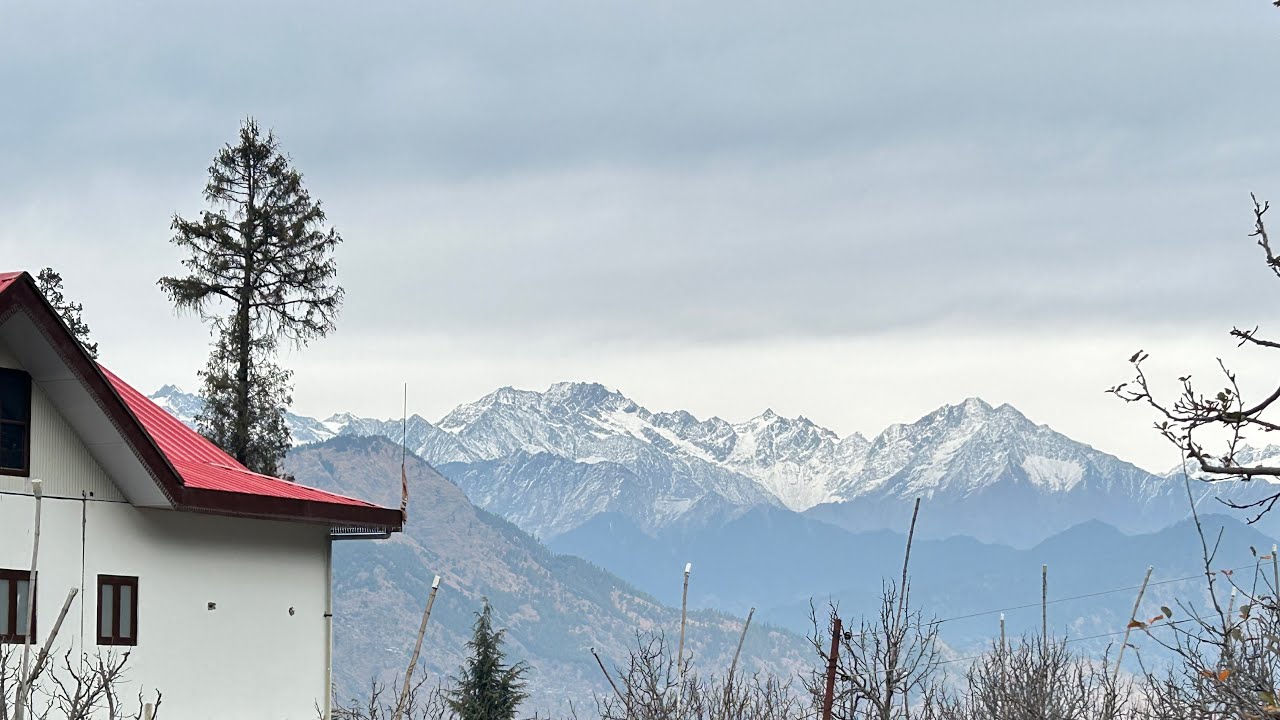 lost in the woods, found in peace